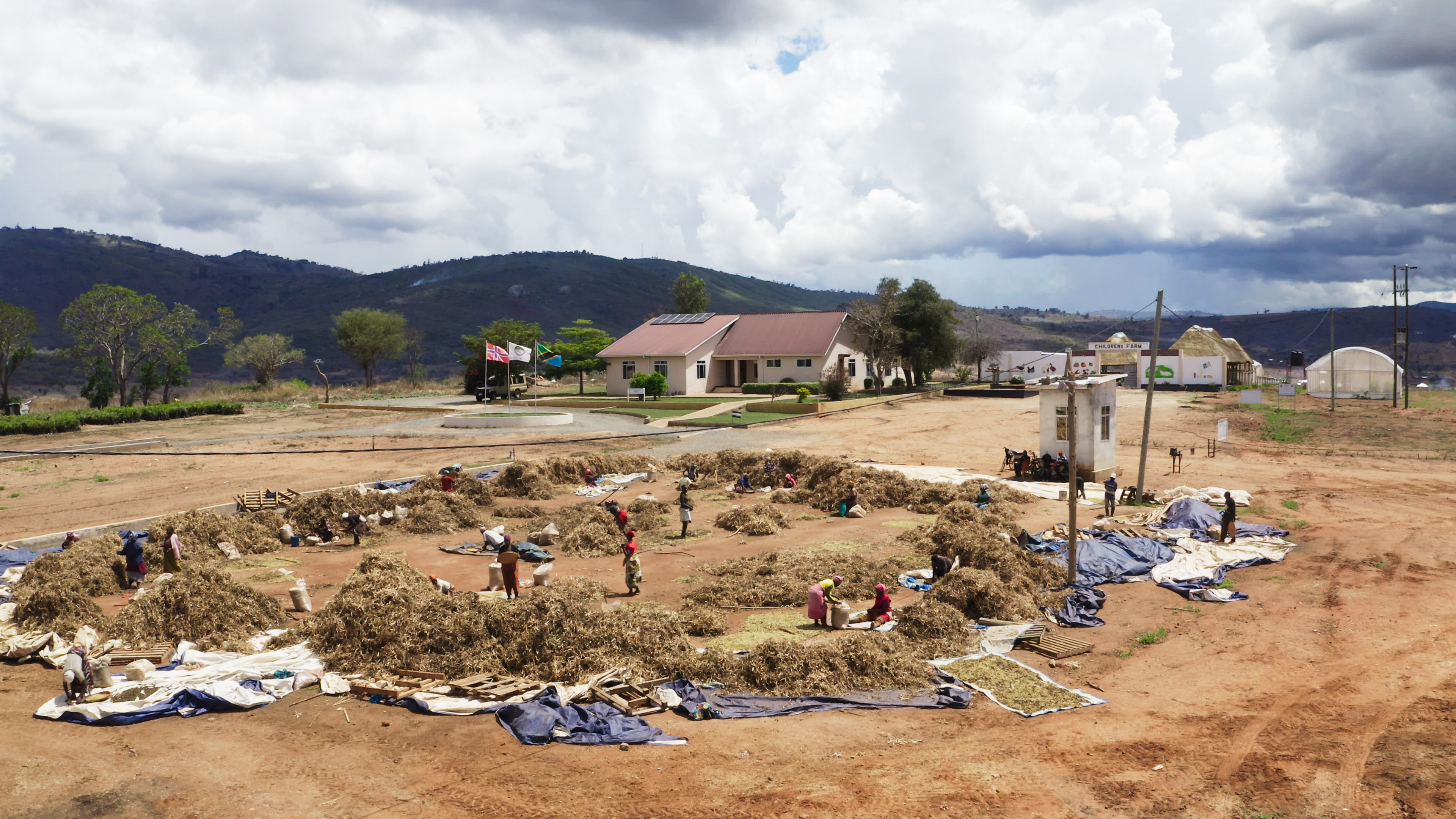 The program will alos be available for streaming online.